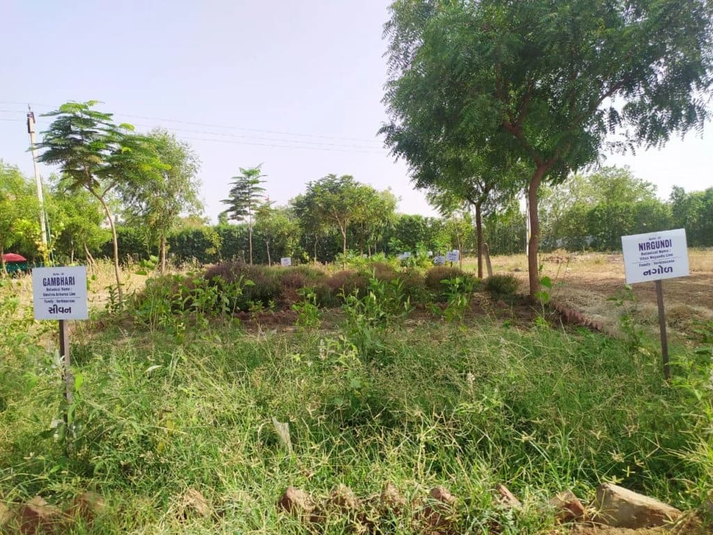 Herbal Garden View 2