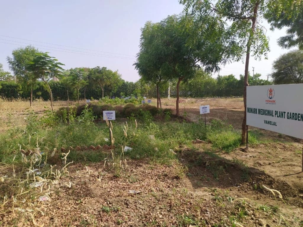 Herbal Garden View 3
