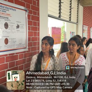 WhatsApp Image 2024-08-14 at 2.16.09 PM