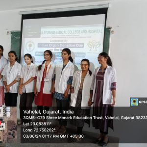 WhatsApp Image 2024-08-21 at 3.06.04 PM